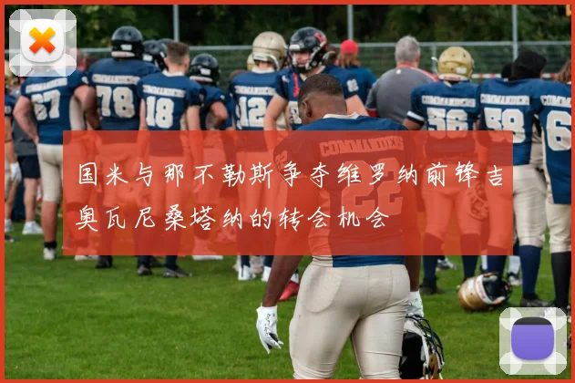 国米与那不勒斯争夺维罗纳前锋吉奥瓦尼桑塔纳的转会机会