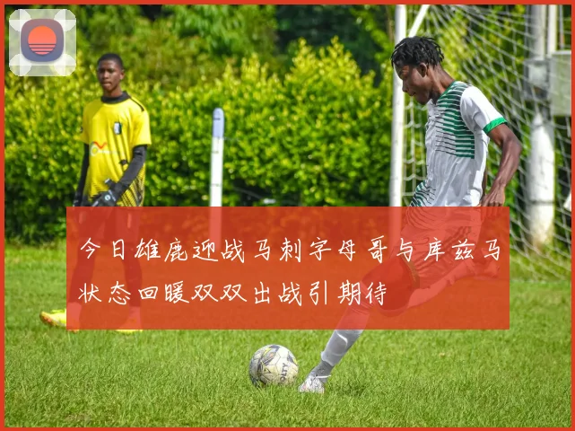今日雄鹿迎战马刺字母哥与库兹马状态回暖双双出战引期待