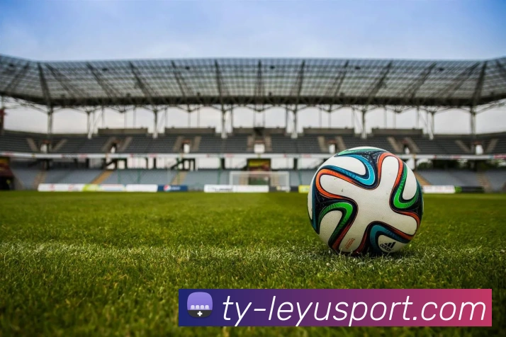 乐鱼体育平台生态图