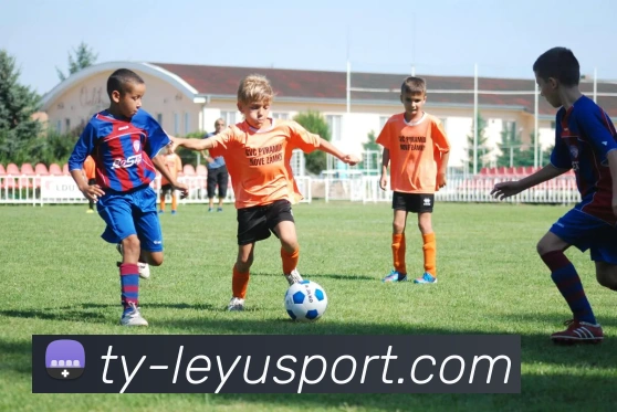 乐鱼体育全站App